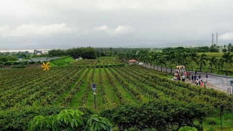 Wine Tasting Tour